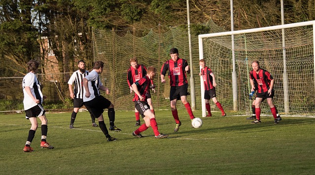 多的机会 多的机会