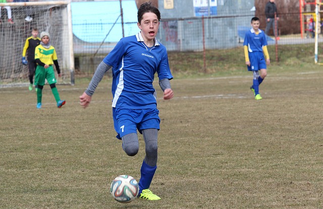 集体活动的 集体活动的