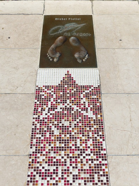 廷伯和托马 廷伯和托马