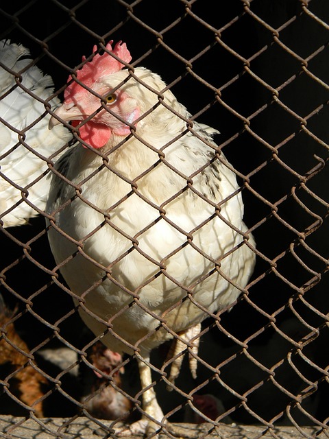 現了其技術 現了其技術