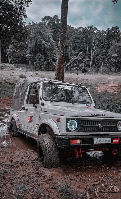 球队老将吉 球队老将吉