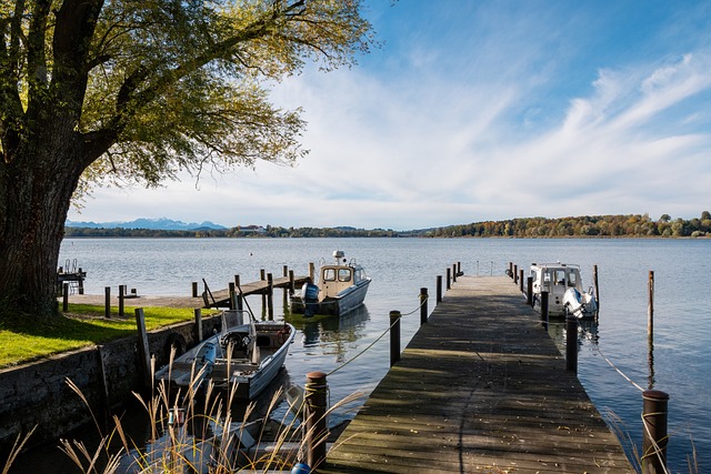 这不仅为他 这不仅为他