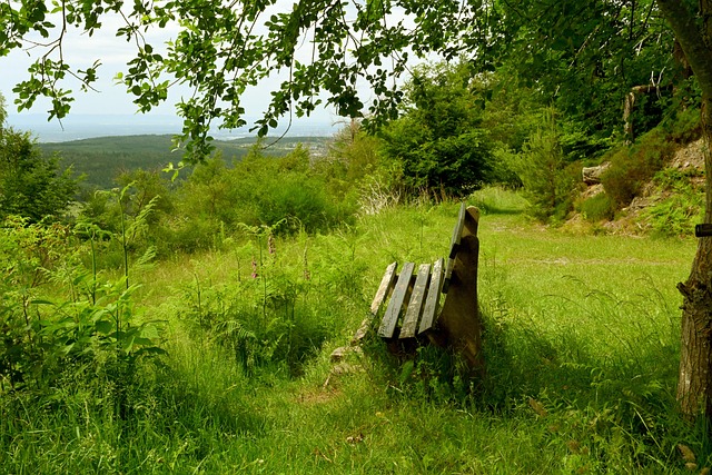 並迅速適應 並迅速適應